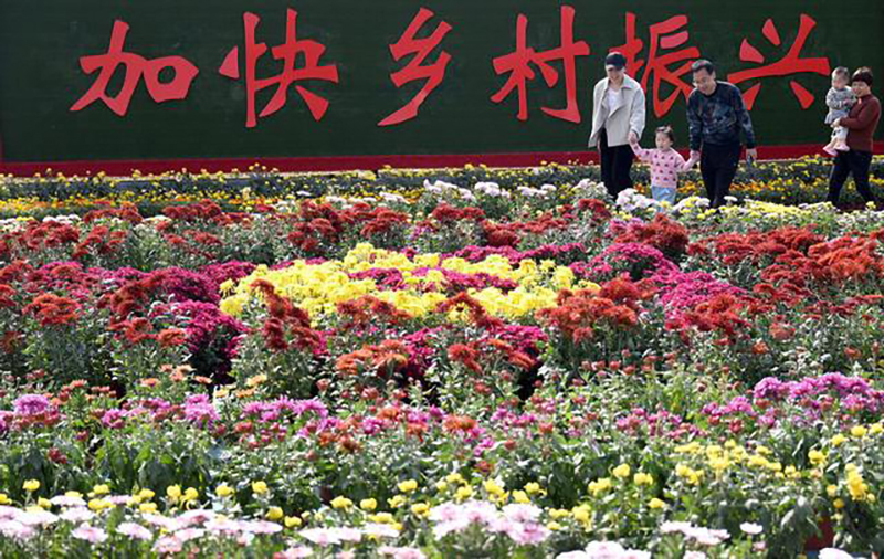 下载.jpg